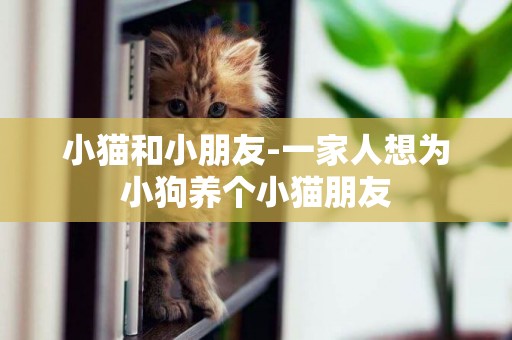 小貓和小朋友-一家人想為小狗養個小貓朋友