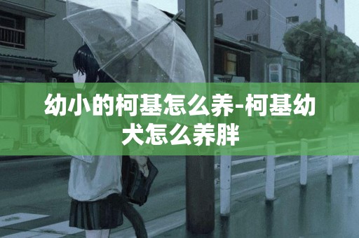 幼小的柯基怎么養-柯基幼犬怎么養胖