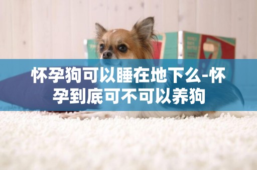 懷孕狗可以睡在地下么-懷孕到底可不可以養狗