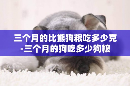 三個月的比熊狗糧吃多少克-三個月的狗吃多少狗糧