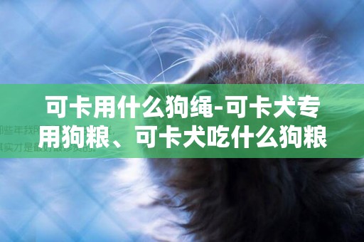 可卡用什么狗繩-可卡犬專用狗糧、可卡犬吃什么狗糧好