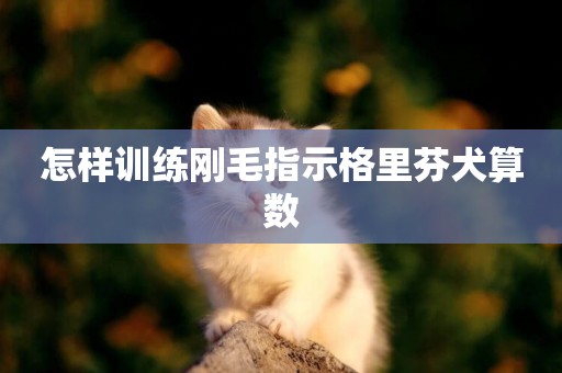怎樣訓練剛毛指示格里芬犬算數