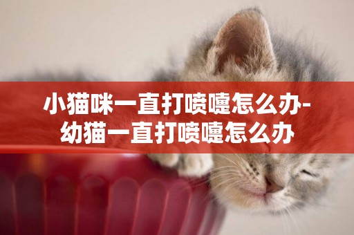 小貓咪一直打噴嚏怎么辦-幼貓一直打噴嚏怎么辦