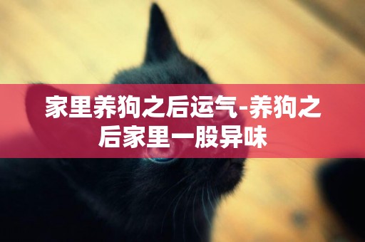 家里養狗之后運氣-養狗之后家里一股異味