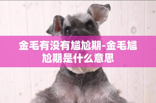 金毛有沒有尷尬期-金毛尷尬期是什么意思