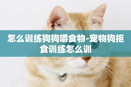 怎么訓練狗狗嚼食物-寵物狗拒食訓練怎么訓