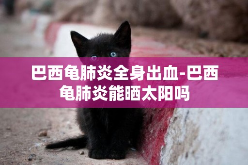 巴西龜肺炎全身出血-巴西龜肺炎能曬太陽嗎