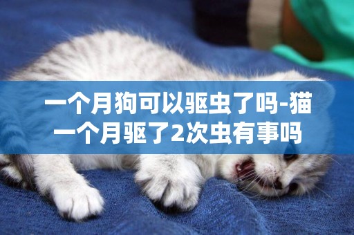 一個月狗可以驅蟲了嗎-貓一個月驅了2次蟲有事嗎