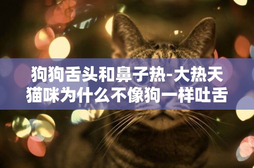 狗狗舌頭和鼻子熱-大熱天貓咪為什么不像狗一樣吐舌頭