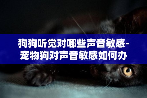 狗狗聽覺對哪些聲音敏感-寵物狗對聲音敏感如何辦