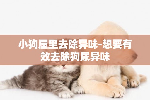小狗屋里去除異味-想要有效去除狗尿異味