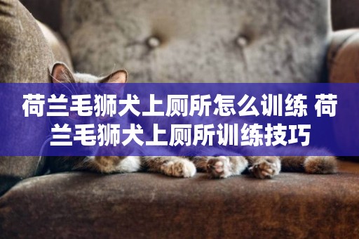荷蘭毛獅犬上廁所怎么訓練 荷蘭毛獅犬上廁所訓練技巧