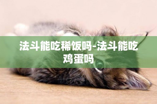法斗能吃稀飯嗎-法斗能吃雞蛋嗎