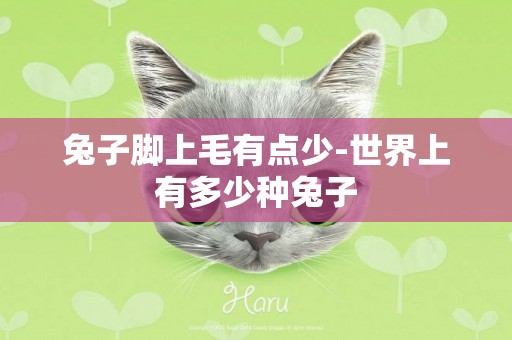 兔子腳上毛有點少-世界上有多少種兔子