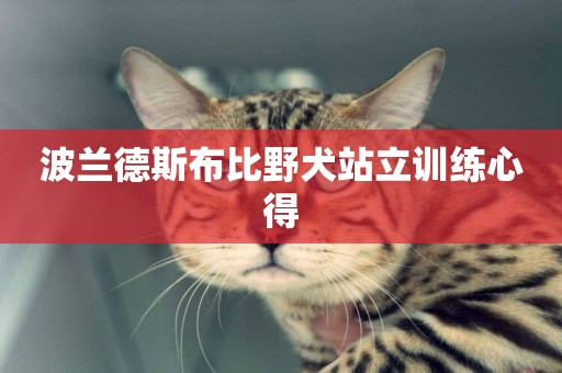 波蘭德斯布比野犬站立訓練心得