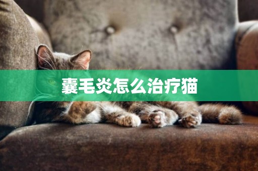 囊毛炎怎么治療貓