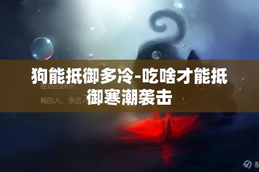 狗能抵御多冷-吃啥才能抵御寒潮襲擊