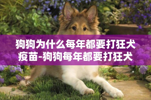 狗狗為什么每年都要打狂犬疫苗-狗狗每年都要打狂犬疫苗嗎
