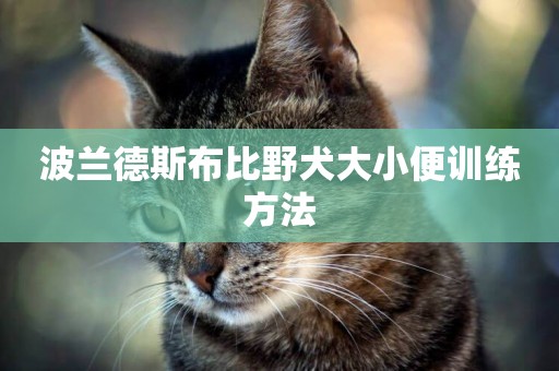 波蘭德斯布比野犬大小便訓練方法