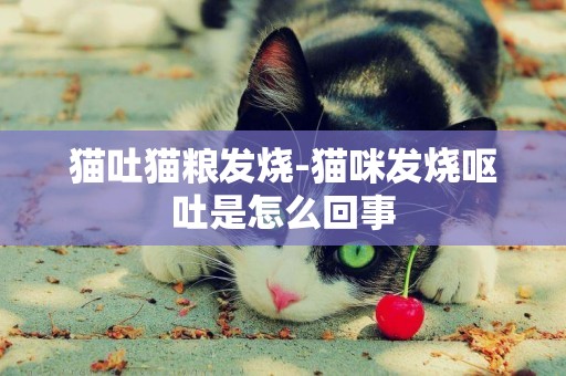 貓吐貓糧發燒-貓咪發燒嘔吐是怎么回事