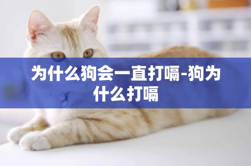 為什么狗會一直打嗝-狗為什么打嗝