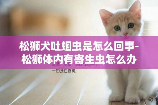 松獅犬吐蛔蟲是怎么回事-松獅體內有寄生蟲怎么辦