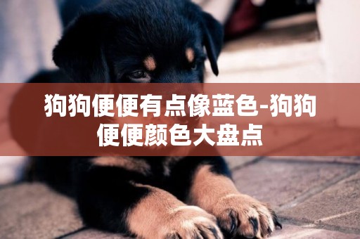 狗狗便便有點像藍色-狗狗便便顏色大盤點