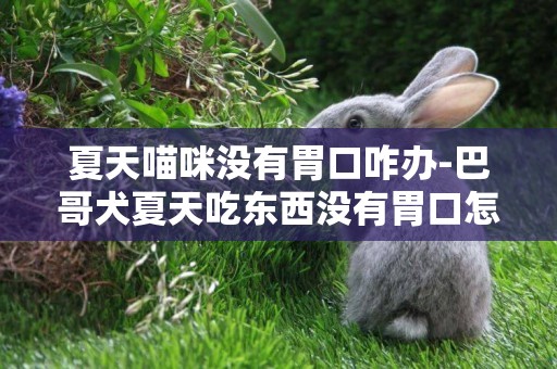 夏天喵咪沒有胃口咋辦-巴哥犬夏天吃東西沒有胃口怎么辦