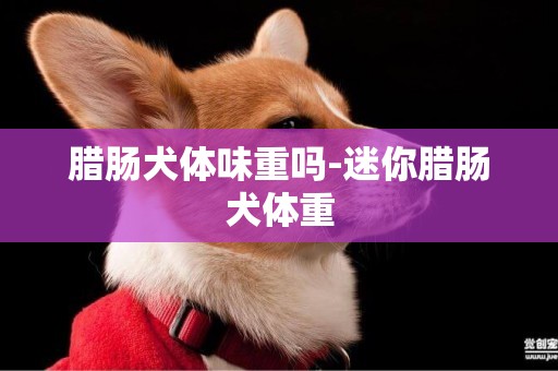 臘腸犬體味重嗎-迷你臘腸犬體重