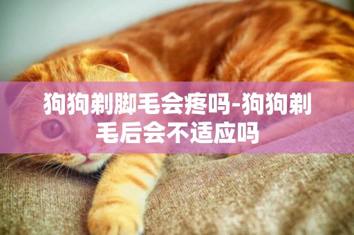 狗狗剃腳毛會疼嗎-狗狗剃毛后會不適應嗎