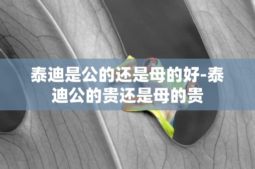 泰迪是公的還是母的好-泰迪公的貴還是母的貴