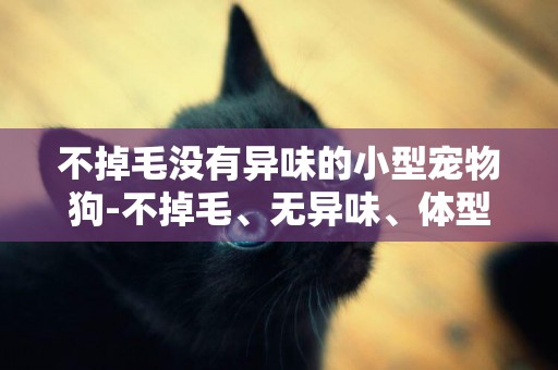 不掉毛沒有異味的小型寵物狗-不掉毛、無異味、體型小的6種狗
