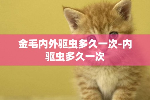 金毛內外驅蟲多久一次-內驅蟲多久一次