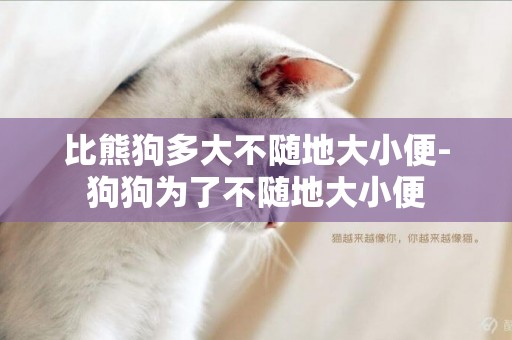 比熊狗多大不隨地大小便-狗狗為了不隨地大小便
