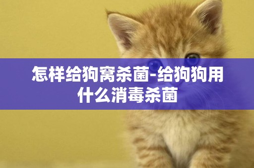 怎樣給狗窩殺菌-給狗狗用什么消毒殺菌