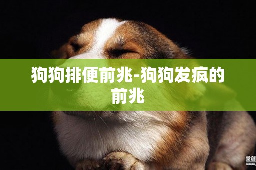 狗狗排便前兆-狗狗發瘋的前兆