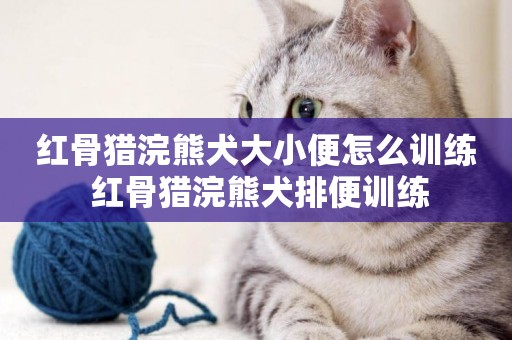 紅骨獵浣熊犬大小便怎么訓練 紅骨獵浣熊犬排便訓練