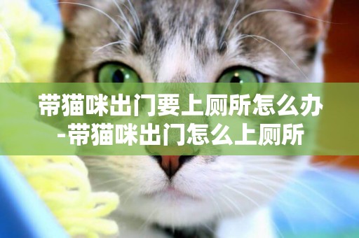 帶貓咪出門要上廁所怎么辦-帶貓咪出門怎么上廁所