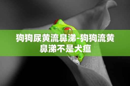 狗狗尿黃流鼻涕-狗狗流黃鼻涕不是犬瘟