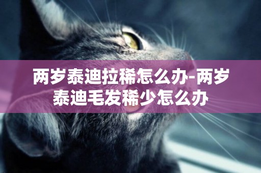 兩歲泰迪拉稀怎么辦-兩歲泰迪毛發稀少怎么辦