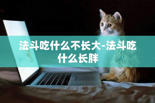 法斗吃什么不長大-法斗吃什么長胖