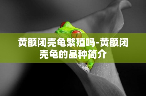 黃額閉殼龜繁殖嗎-黃額閉殼龜的品種簡介