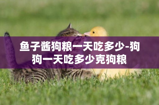 魚子醬狗糧一天吃多少-狗狗一天吃多少克狗糧