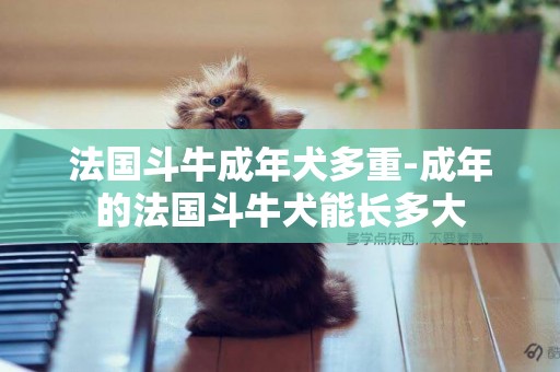 法國斗牛成年犬多重-成年的法國斗牛犬能長多大