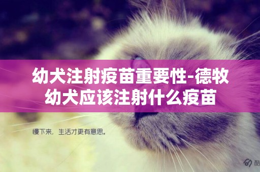 幼犬注射疫苗重要性-德牧幼犬應該注射什么疫苗