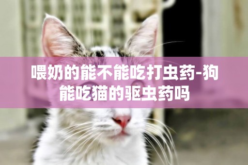 喂奶的能不能吃打蟲藥-狗能吃貓的驅蟲藥嗎