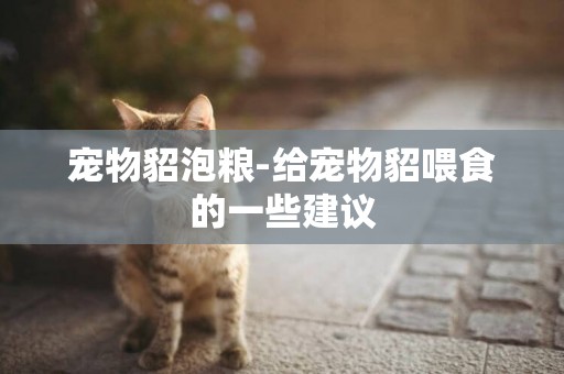 寵物貂泡糧-給寵物貂喂食的一些建議