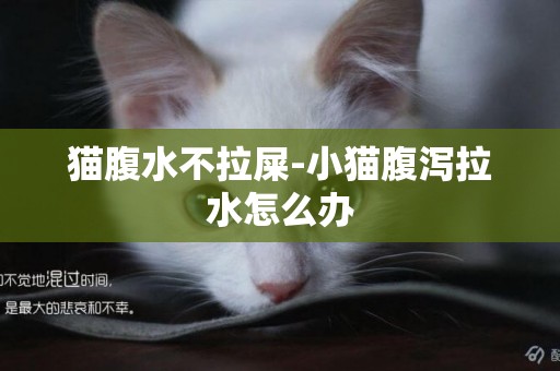 貓腹水不拉屎-小貓腹瀉拉水怎么辦
