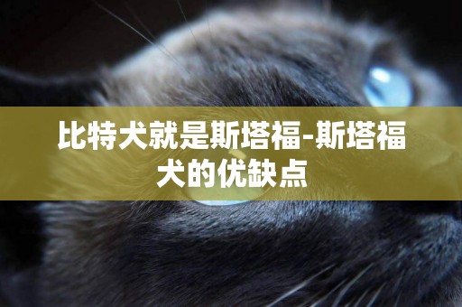 比特犬就是斯塔福-斯塔福犬的優缺點