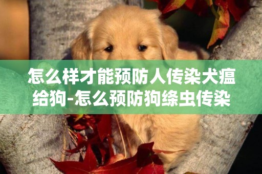 怎么樣才能預防人傳染犬瘟給狗-怎么預防狗絳蟲傳染人